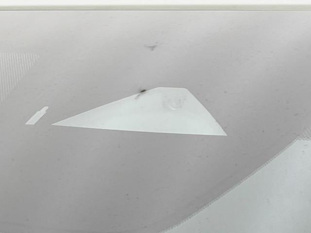 19098308_carP_l_4.jpg
