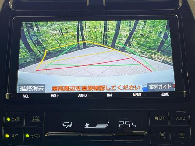 22582637_carP_l_10.jpg