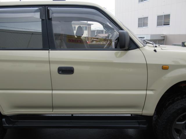 21237463_carP_l_18.jpg
