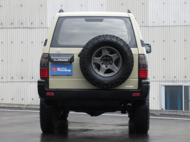 21237463_carP_l_4.jpg