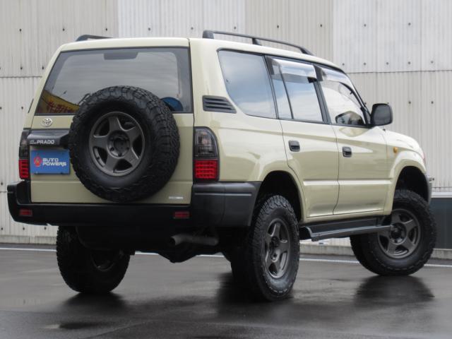 21237463_carP_l_6.jpg