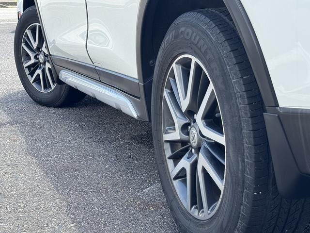 25708991_carP_l_20.jpg