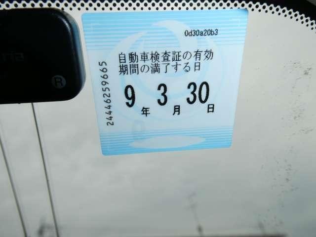 20604507_carP_l_5.jpg