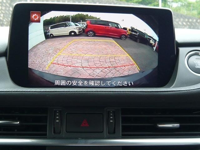 24023263_carP_l_10.jpg