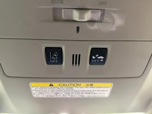 25112649_carP_l_6.jpg