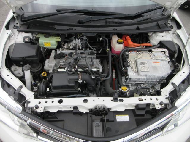 21797366_carP_l_17.jpg