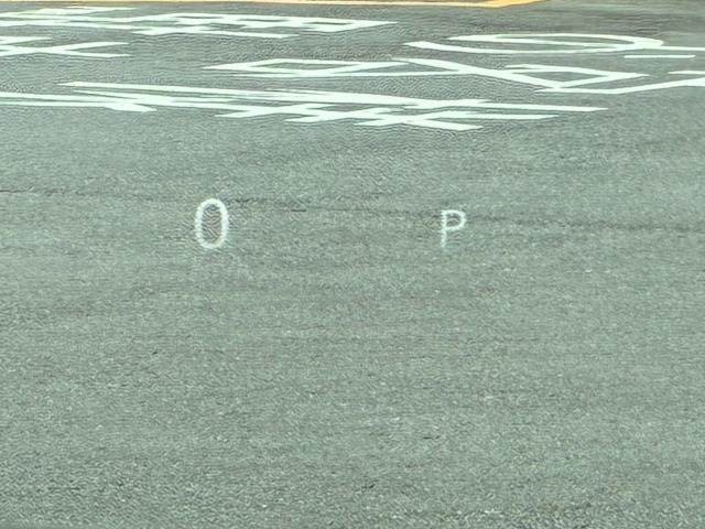 06.jpg