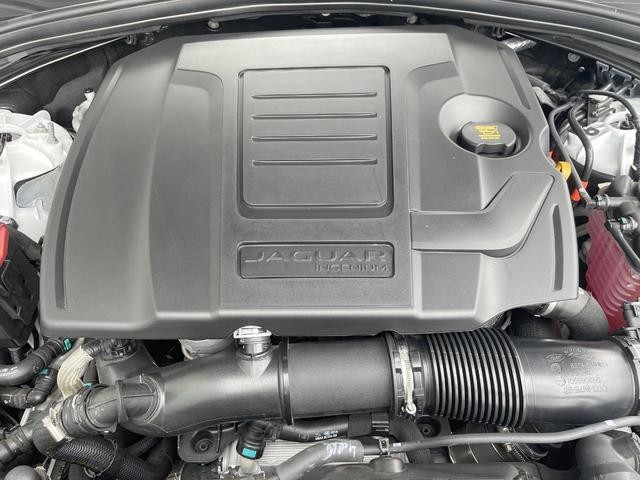 22429526_carP_l_20.jpg