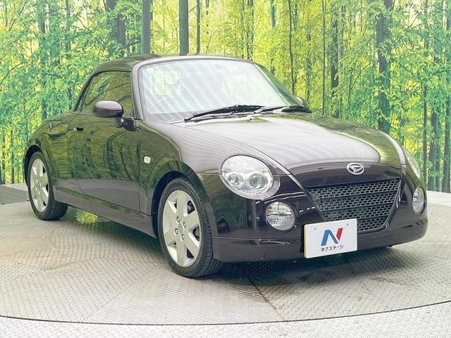 25694269_carP_l_11.jpg