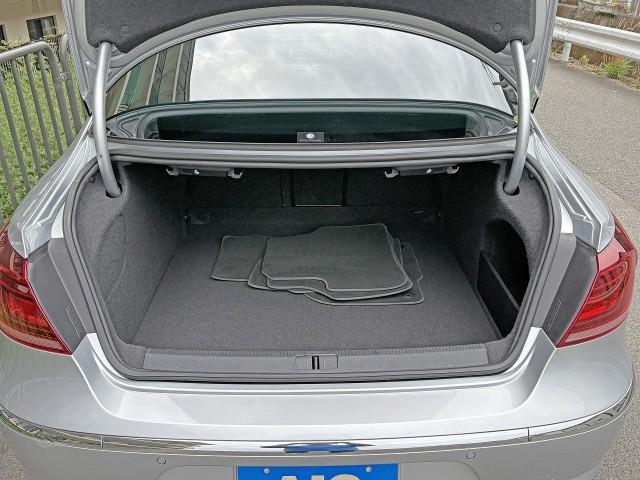 16868151_carP_l_18.jpg