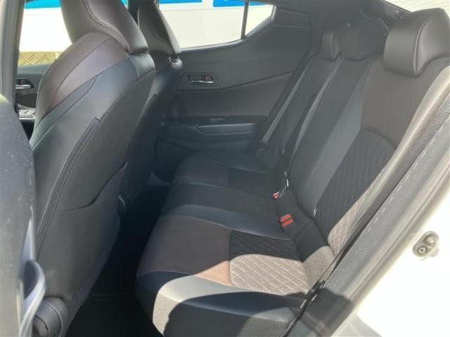26069058_carP_l_14.jpg