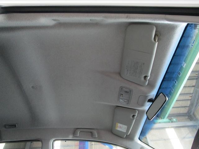 15680006_carP_l_18.jpg