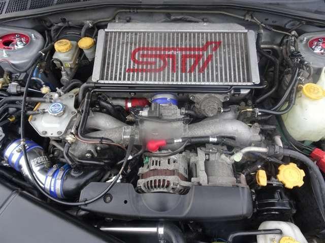 17948845_carP_l_12.jpg