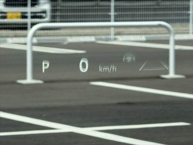 05.jpg