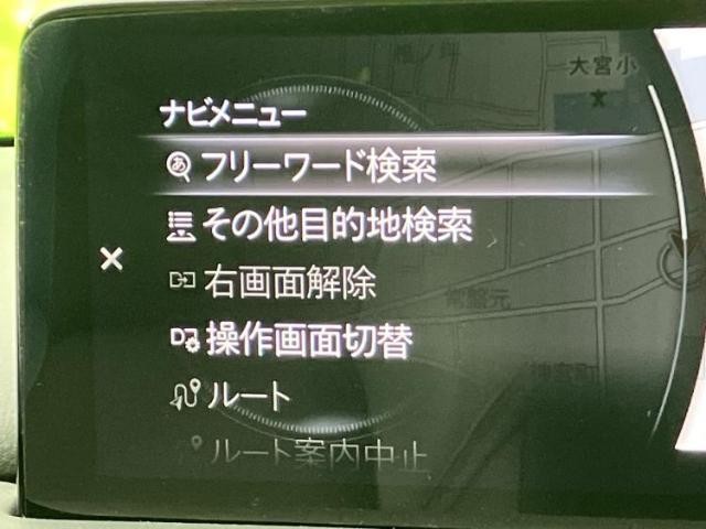 26681567_carP_l_19.jpg