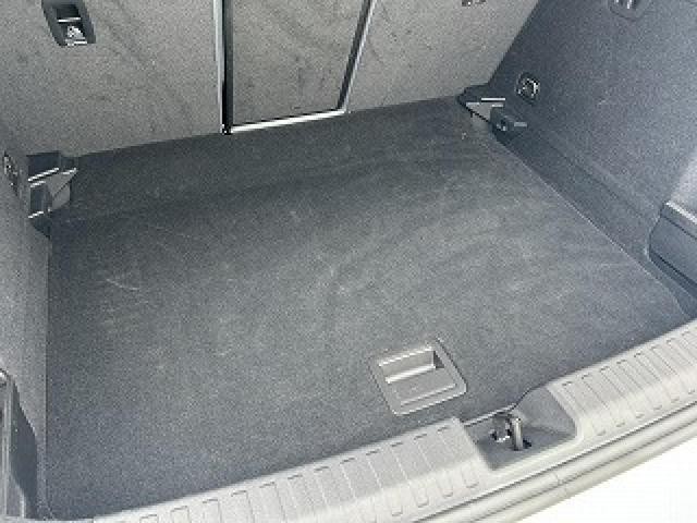 24536948_carP_l_11.jpg
