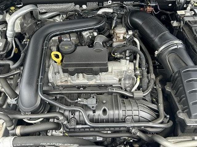 24536948_carP_l_12.jpg