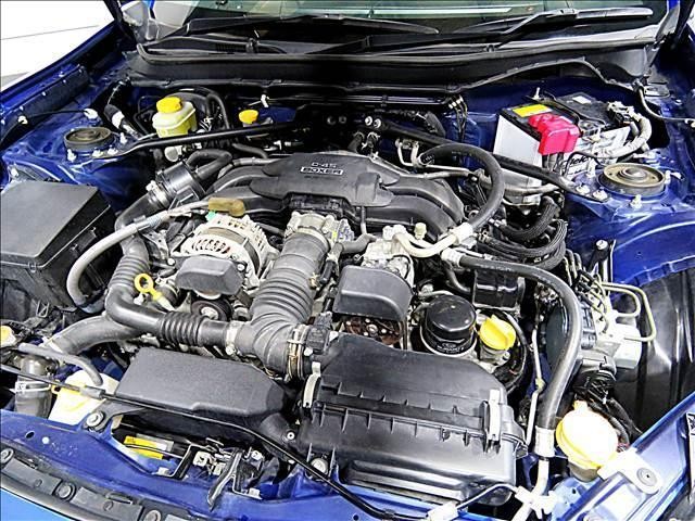 22700899_carP_l_20.jpg