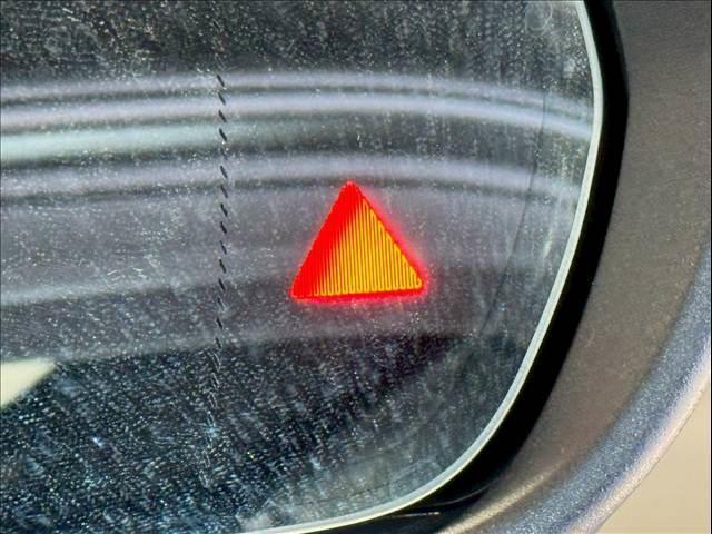 22163083_carP_l_5.jpg