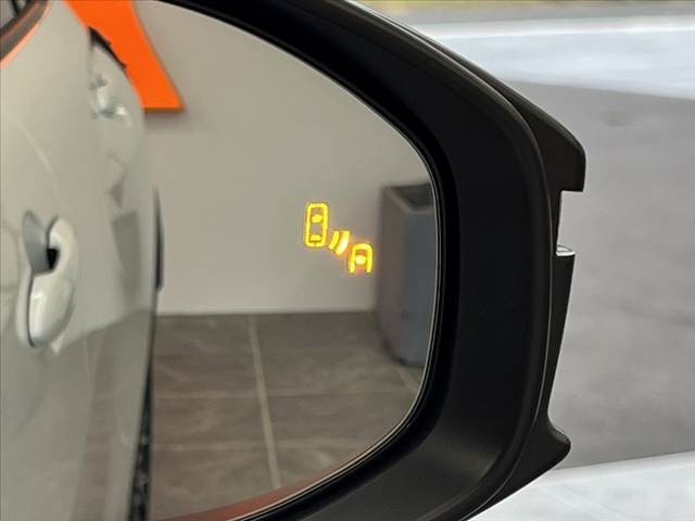 06.jpg