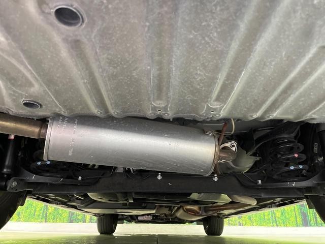 24706058_carP_l_16.jpg