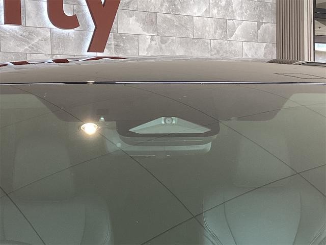 24741680_carP_l_7.jpg