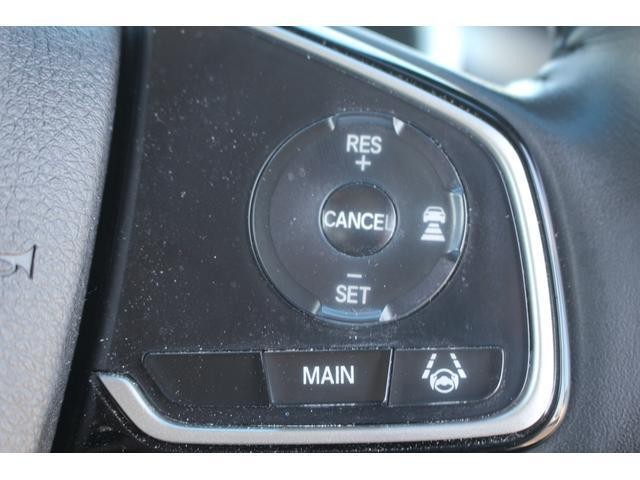 22712915_carP_l_17.jpg