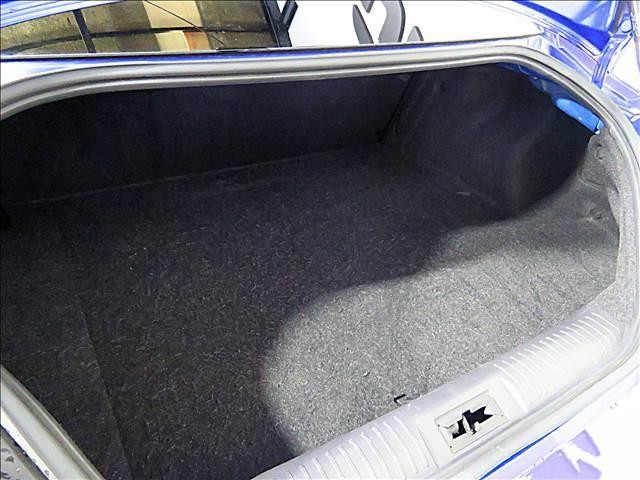 22740737_carP_l_18.jpg