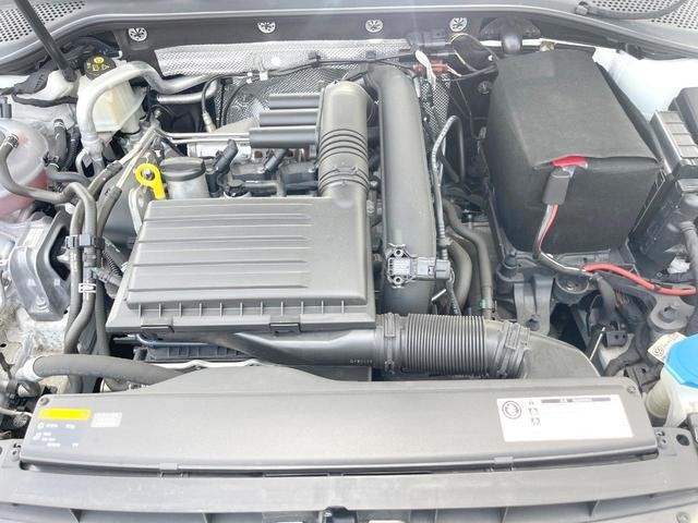 25075739_carP_l_18.jpg