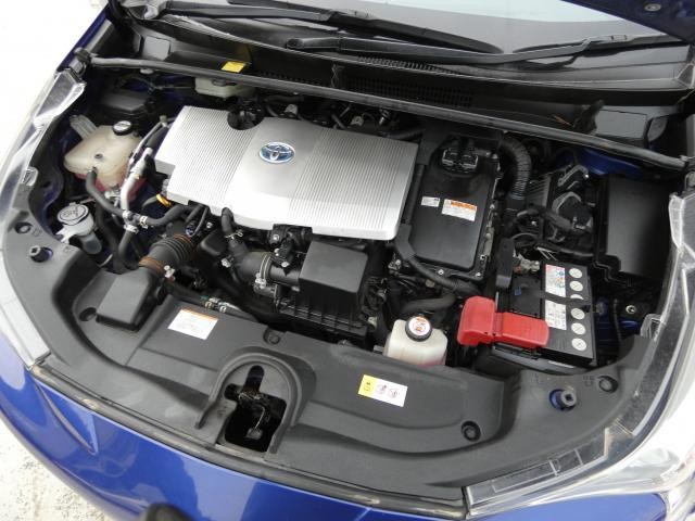 18218476_carP_l_9.jpg