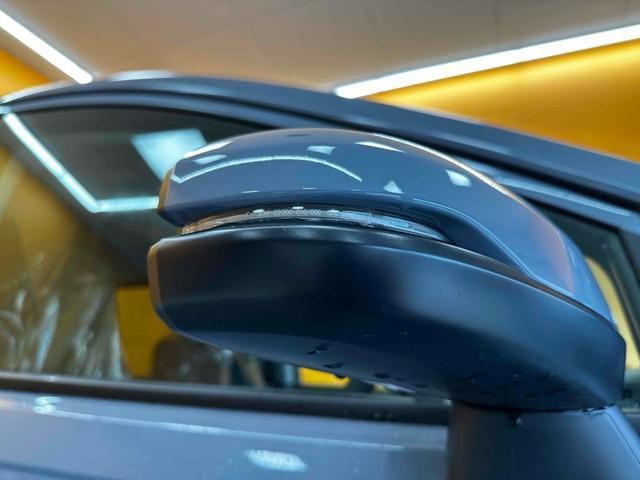 23709439_carP_l_7.jpg