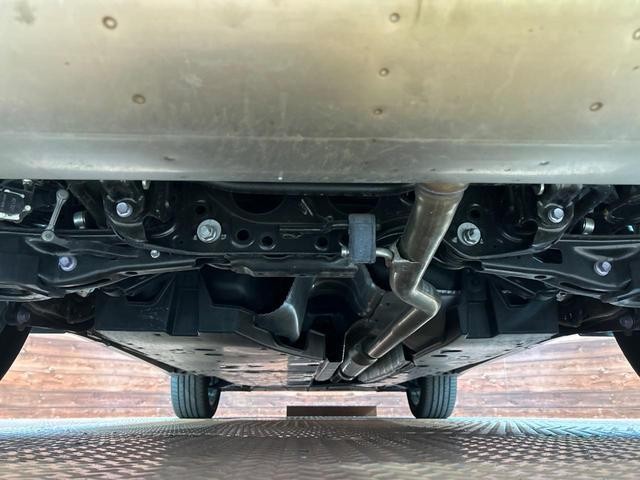 25714989_carP_l_20.jpg