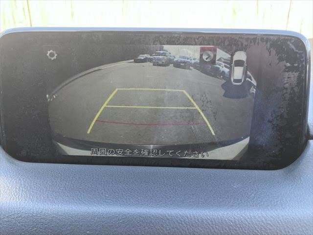 05.jpg
