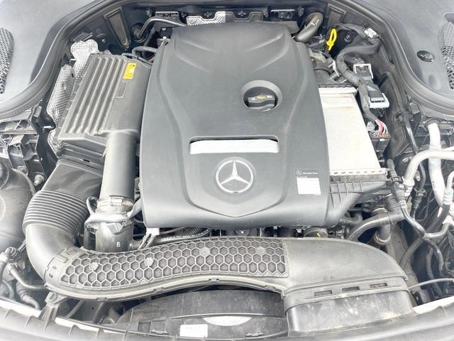 25137807_carP_l_18.jpg