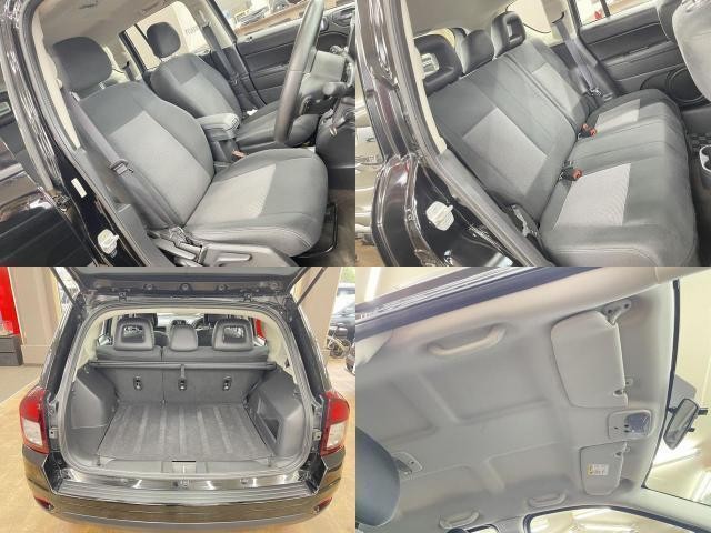 19914161_carP_l_17.jpg