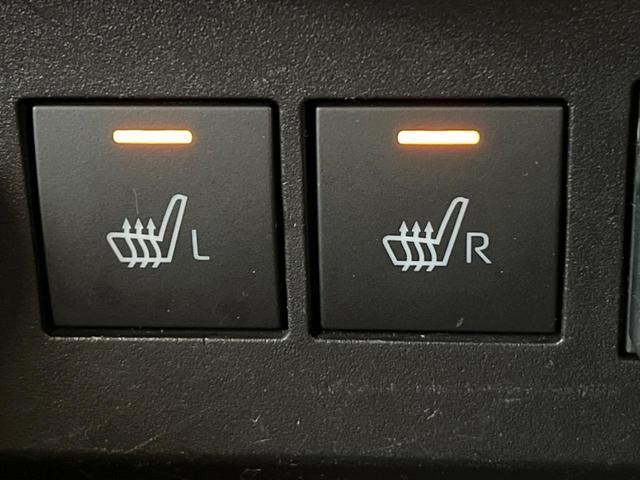 25241430_carP_l_13.jpg