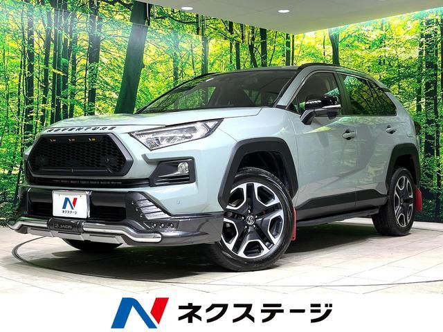23148775_carP_l_1.jpg