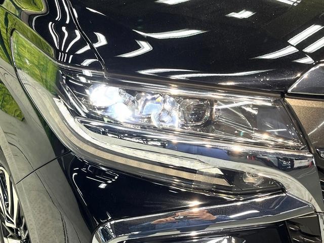 24625280_carP_l_7.jpg