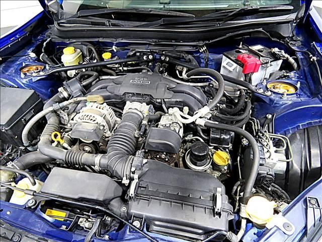 22932054_carP_l_20.jpg