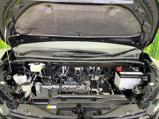 22486871_carP_l_16.jpg