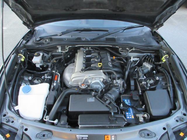 22447064_carP_l_17.jpg