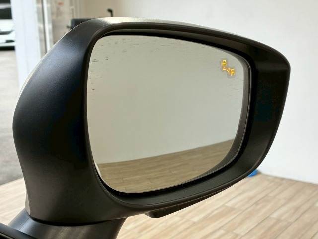 06.jpg