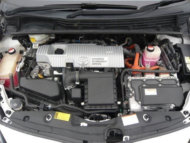 22461951_carP_l_2.jpg