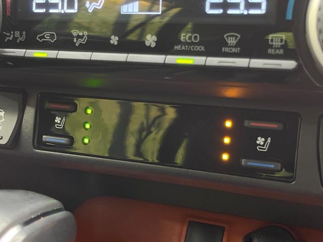 22076603_carP_l_13.jpg