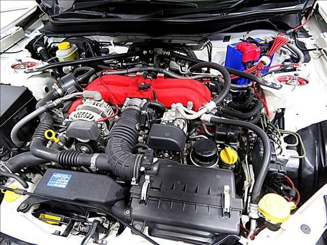 23049994_carP_l_20.jpg