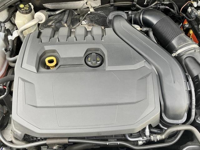 24700978_carP_l_12.jpg