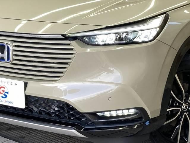 22016336_carP_l_20.jpg