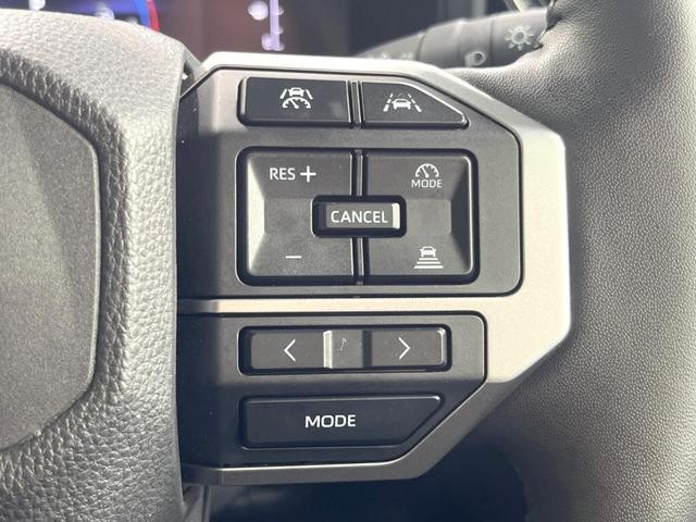 24725955_carP_l_14.jpg