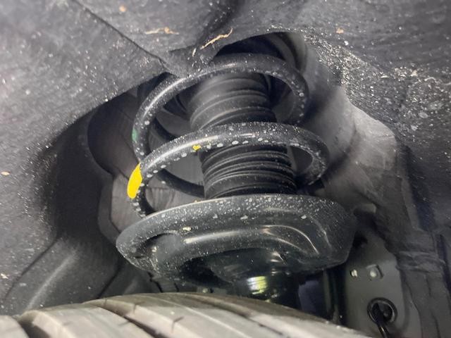 24726100_carP_l_18.jpg