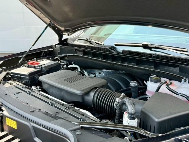 23516999_carP_l_12.jpg